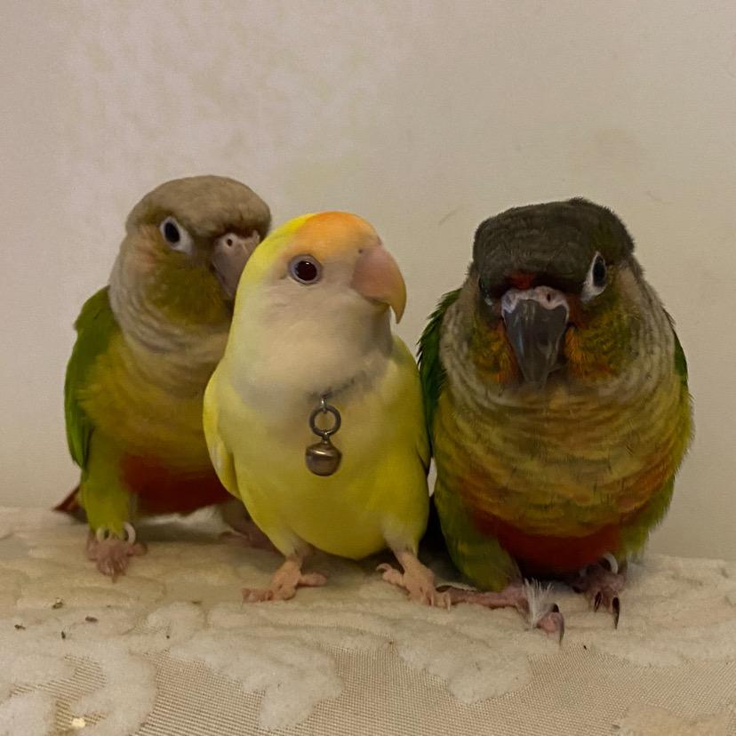 ╭ァ小情绪，䒕孩纸