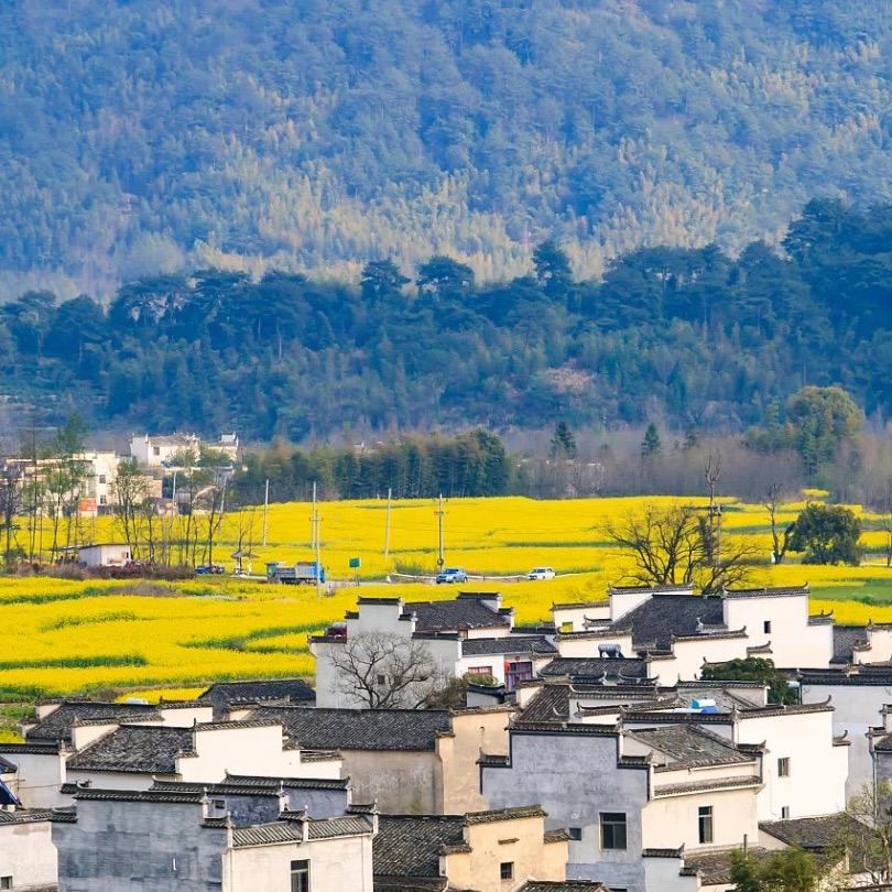理想不加油