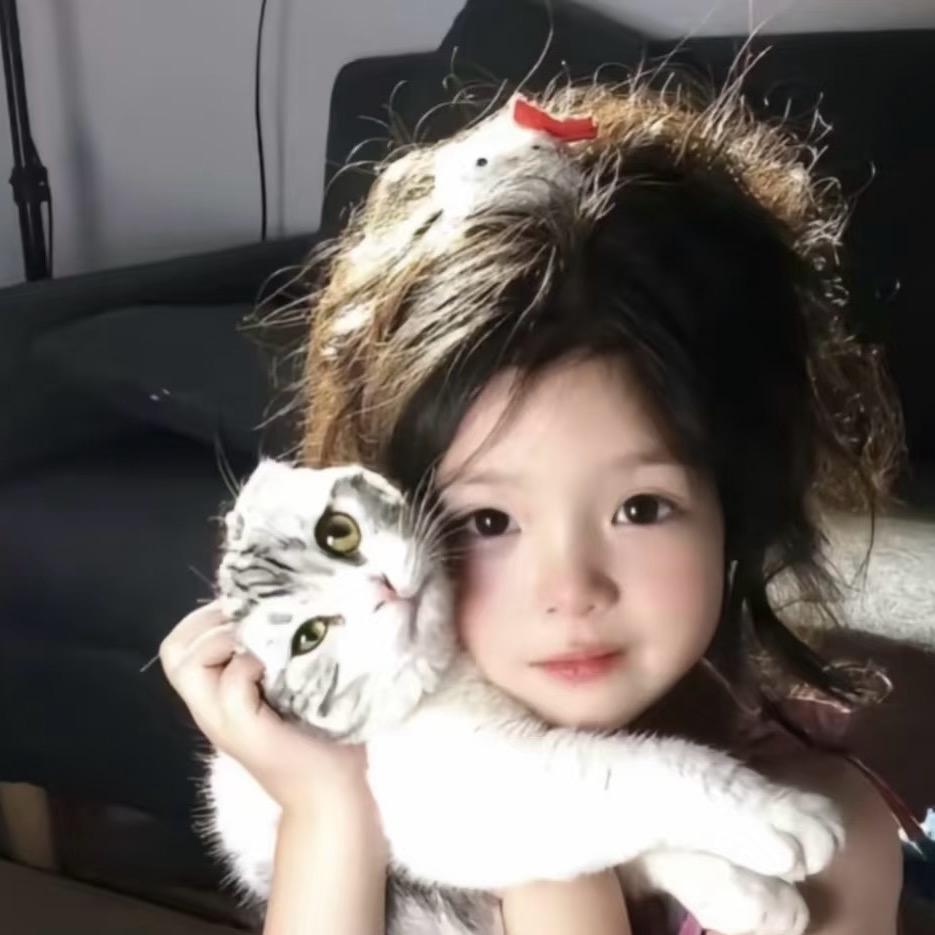 奶酪是猫猫啊～