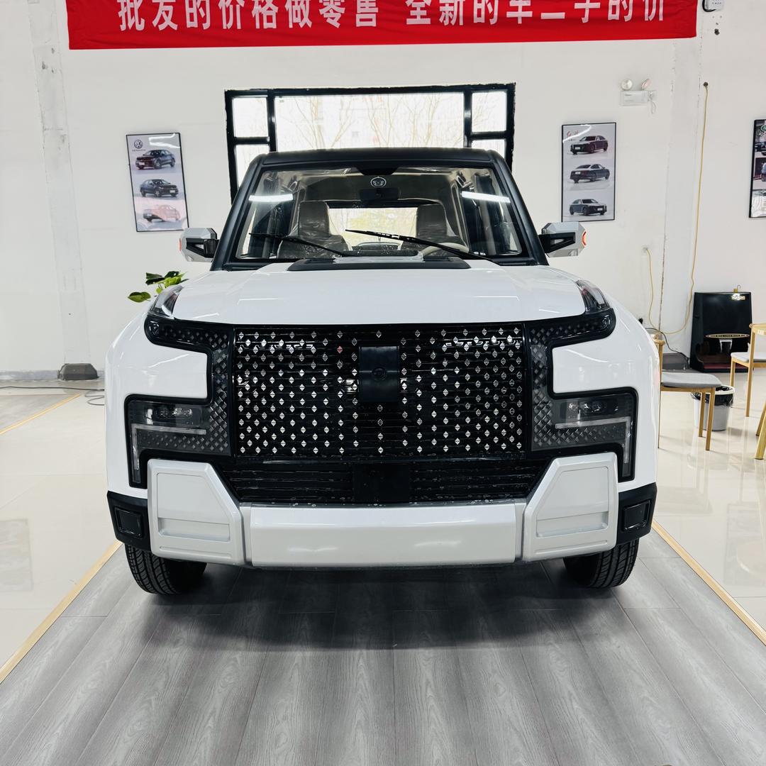 利星新能源汽车