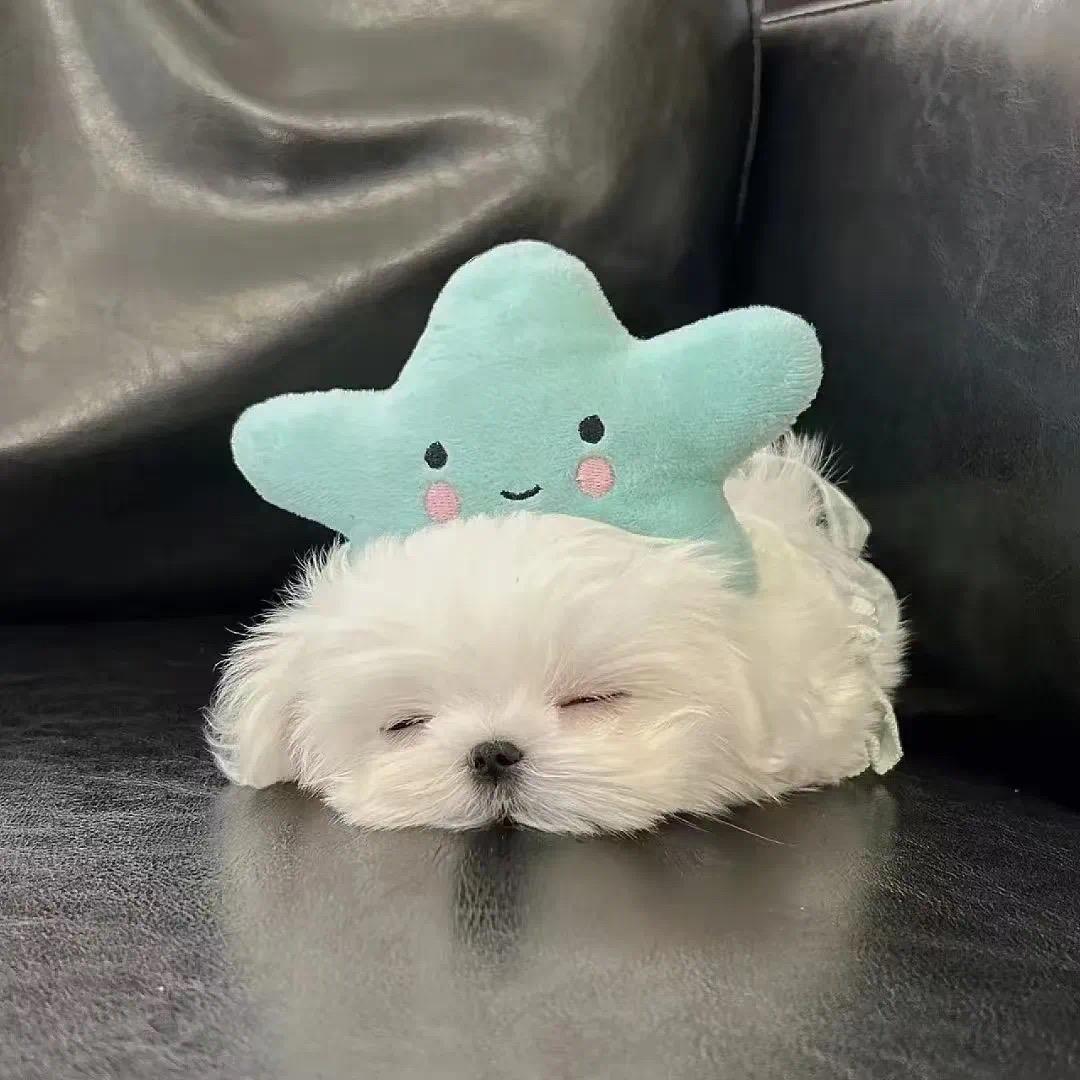 了了