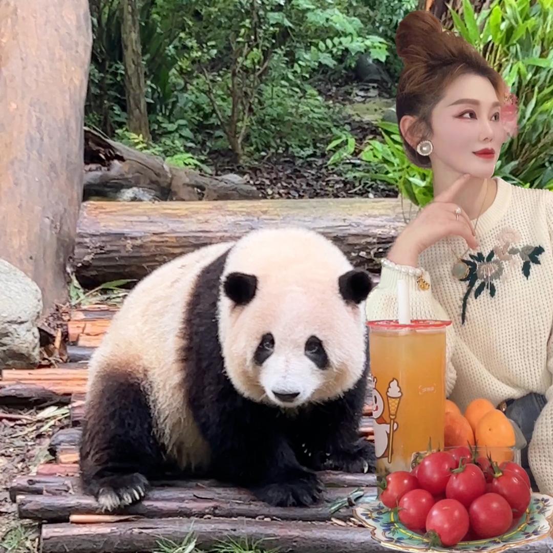 凯瑟琳看熊猫