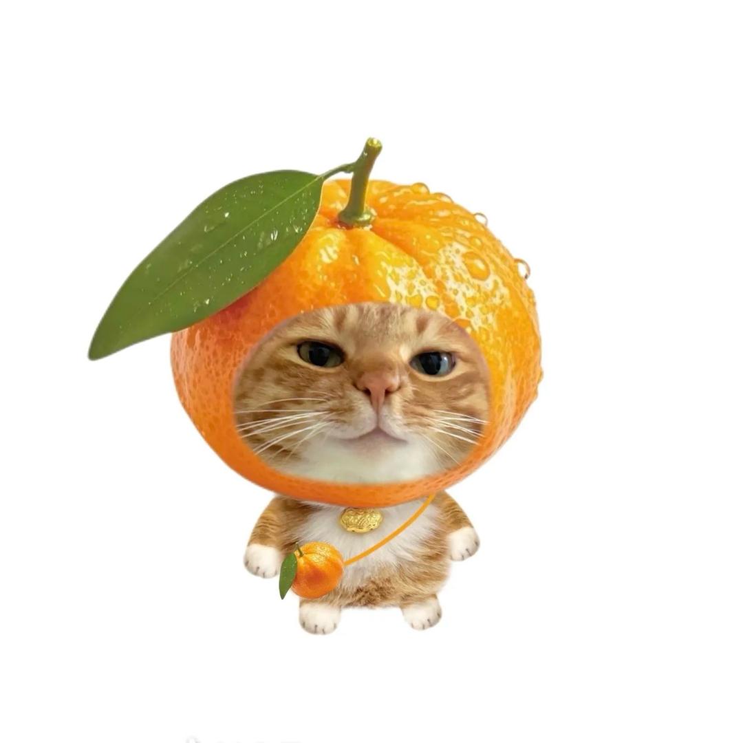 小赵baby.