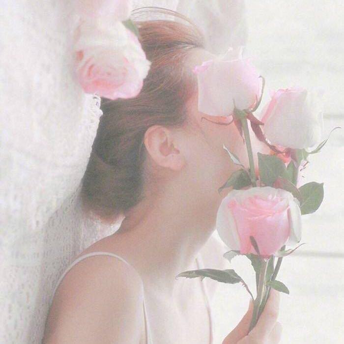 爱睡懒觉的羊羊羊