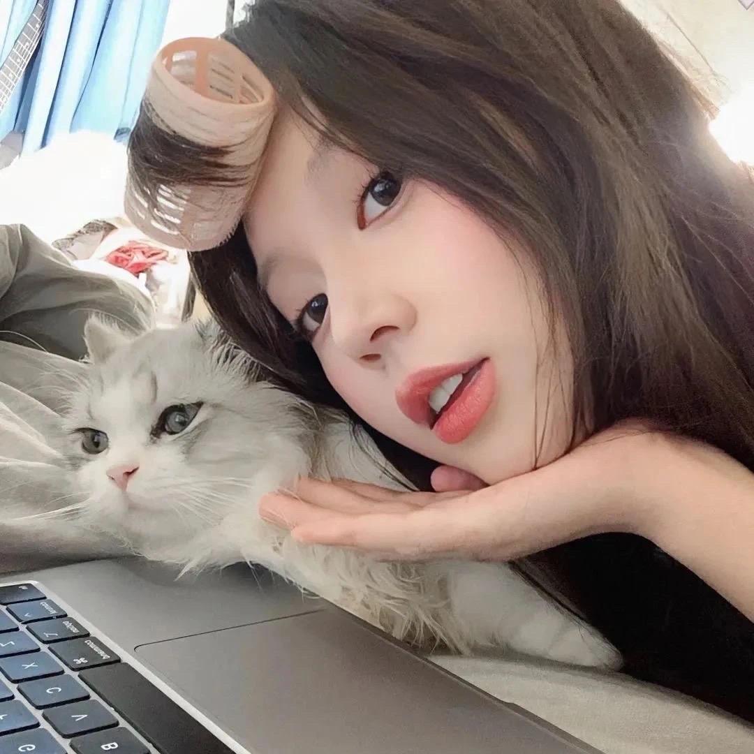 猪