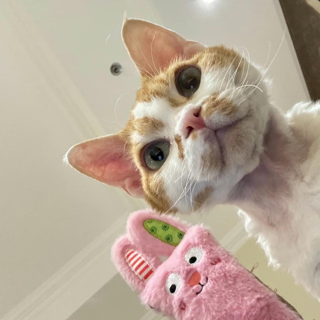 Hello小梓