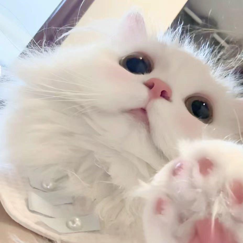 辣椒炒饼干