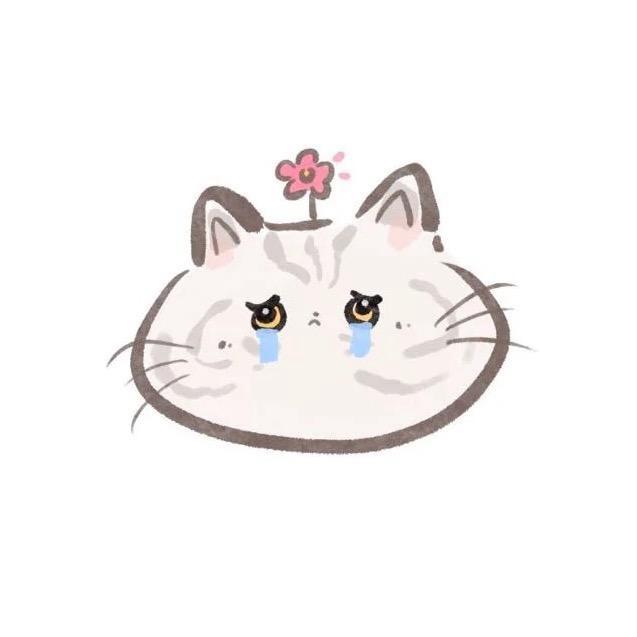 猫猫吃南瓜