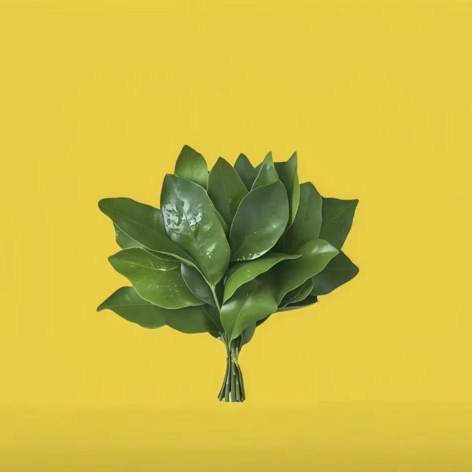 高老表带你耍BBA