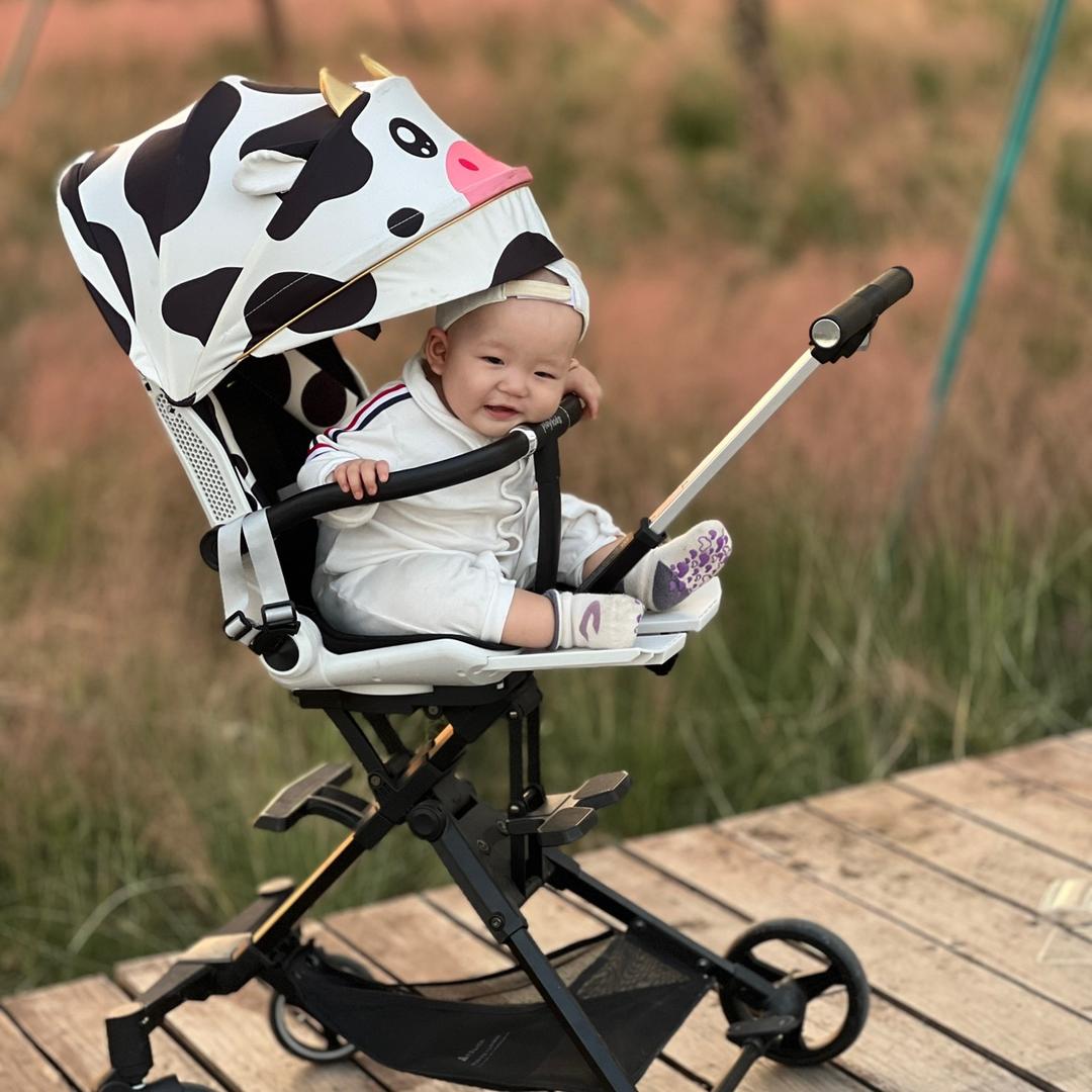 婴幼尽有童车
