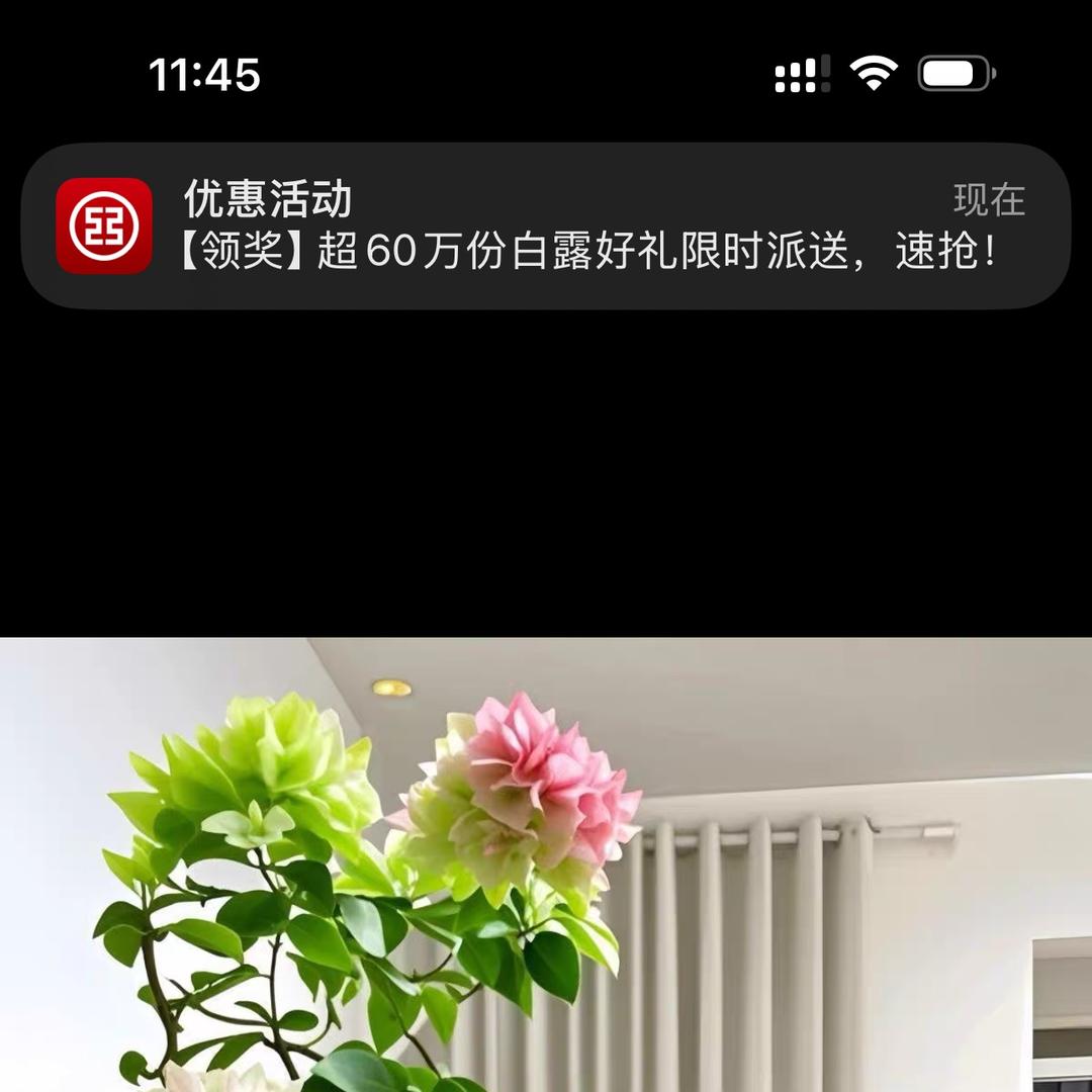 成安碧虎防滑大理石瓷砖