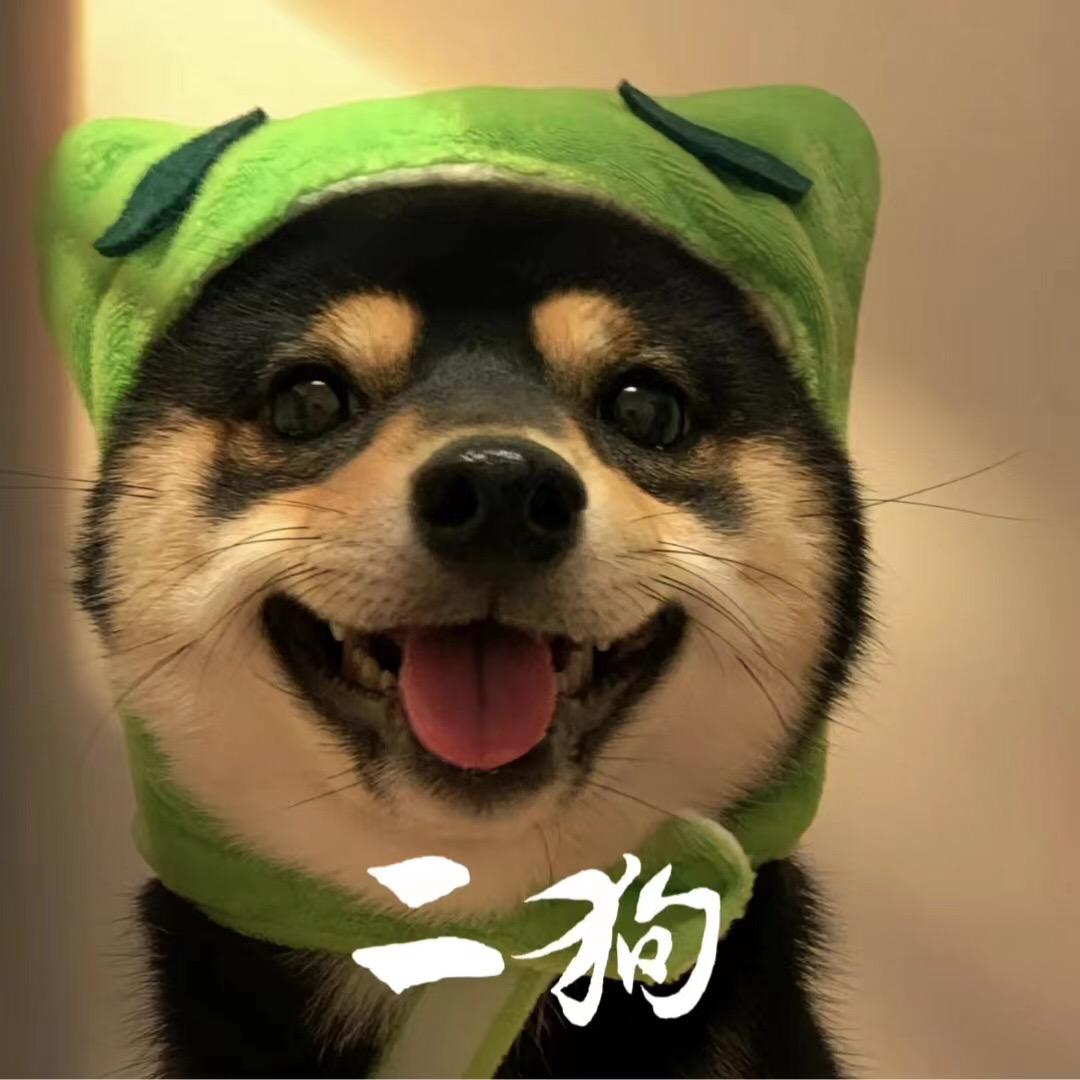 二狗纪录片