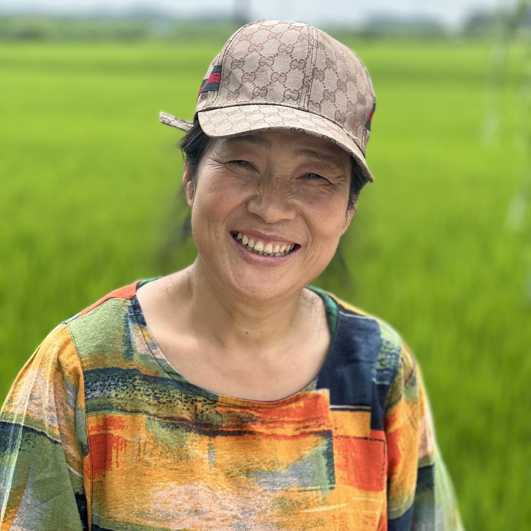 陶姐五常大米