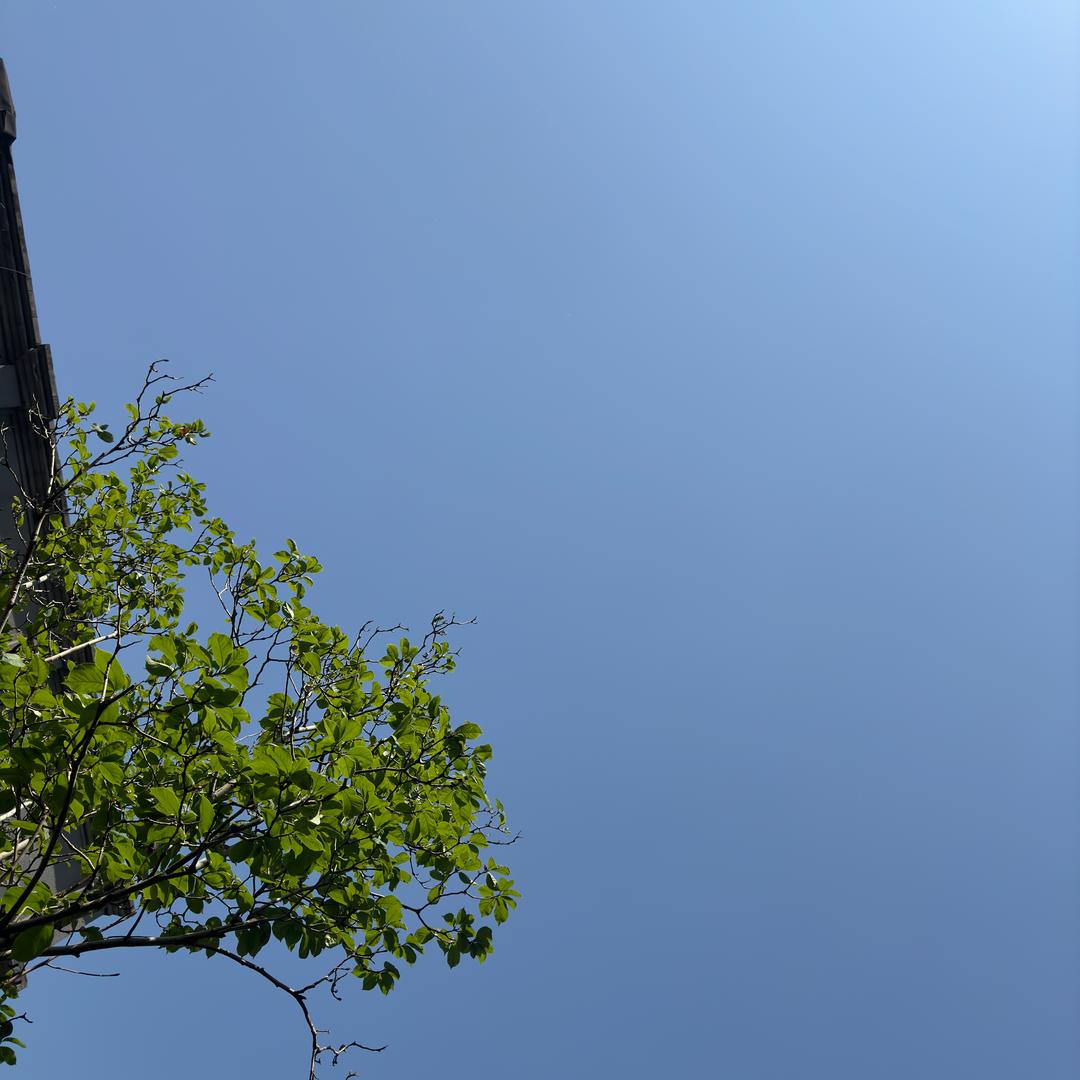 前路漫漫亦灿灿