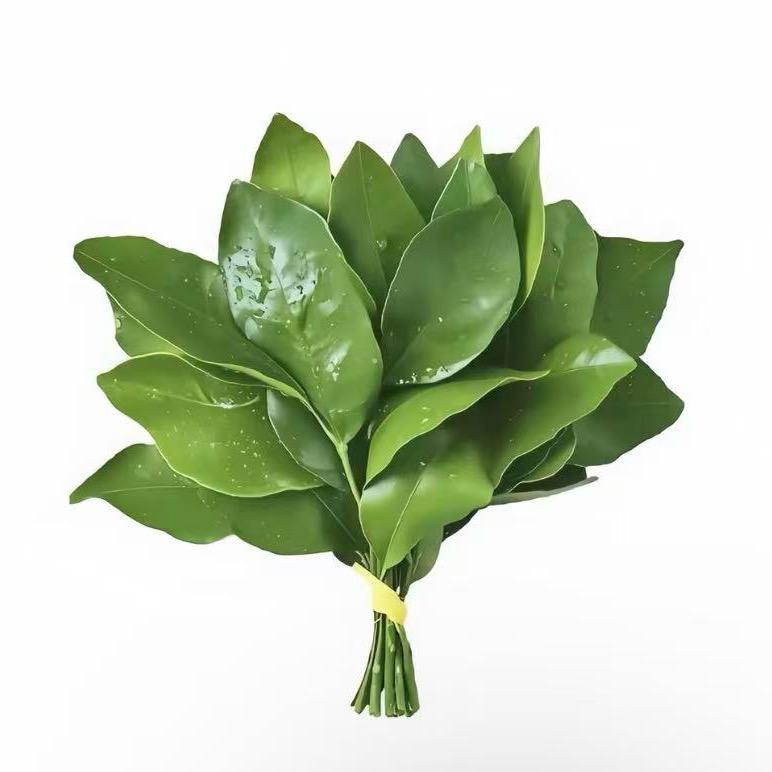 𝙡𝙪𝙘𝙠𝙮𝙍𝙣