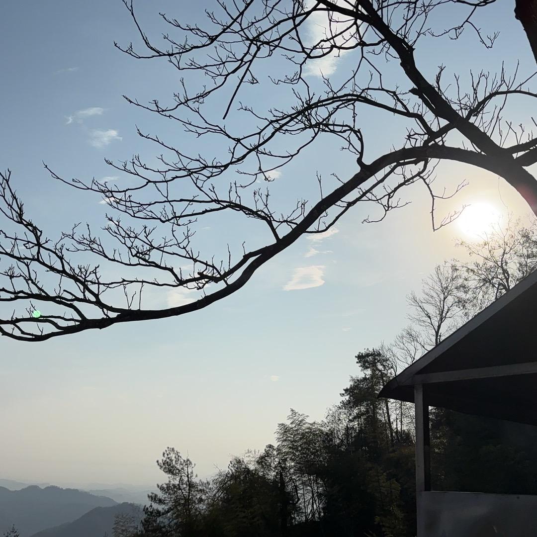 心不死则道不生