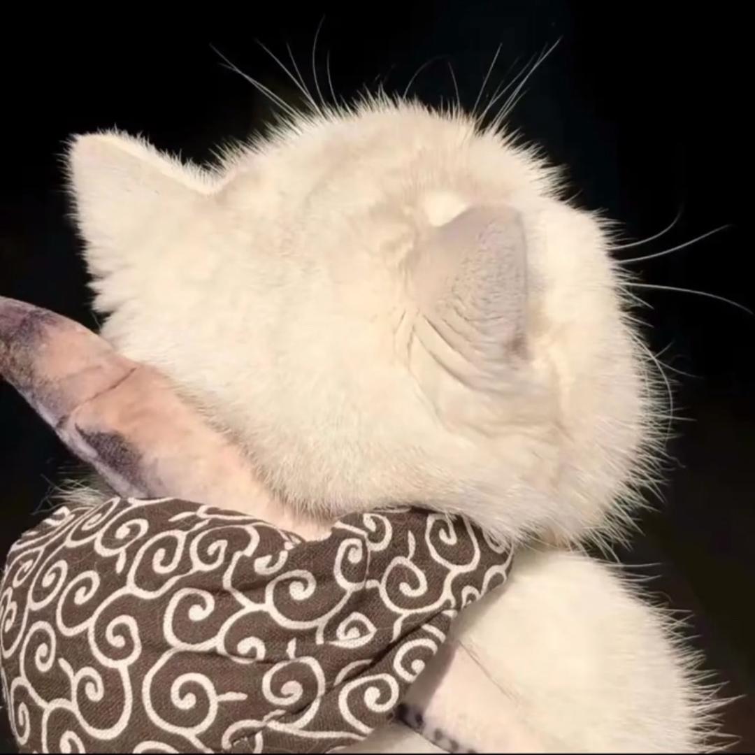 板板ㅤ