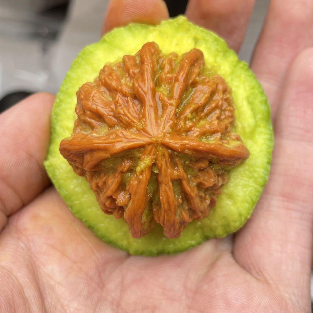 易县舟鑫盛工艺品店（个体工商户）