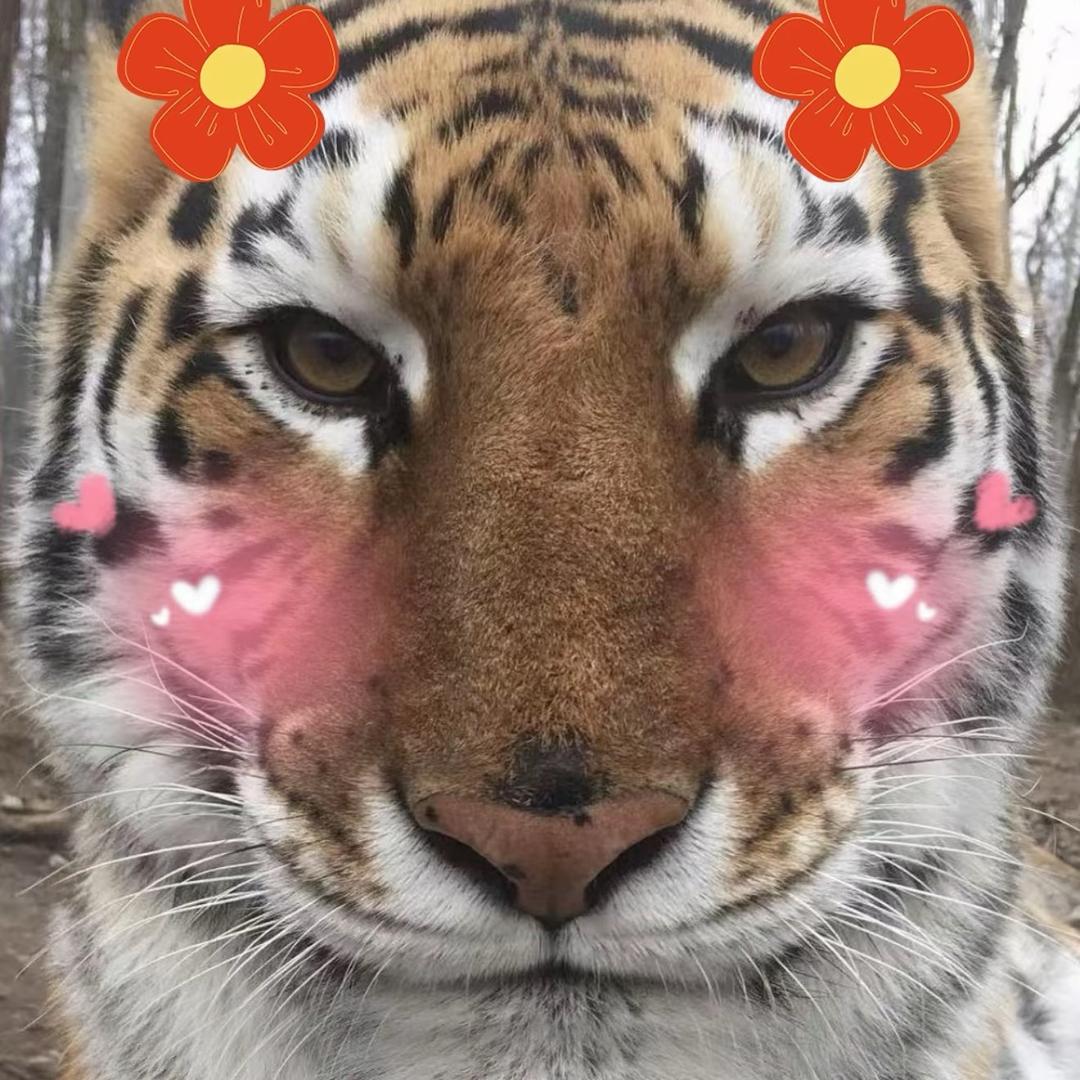 she