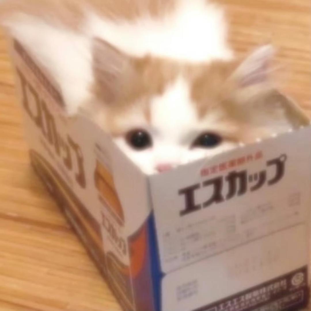 咕噜咕噜