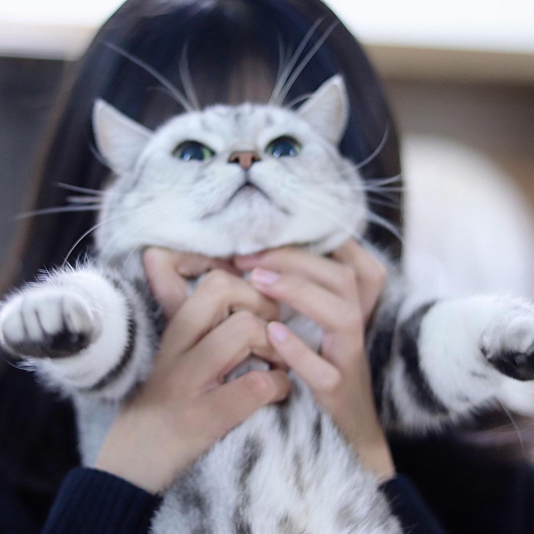y_yy