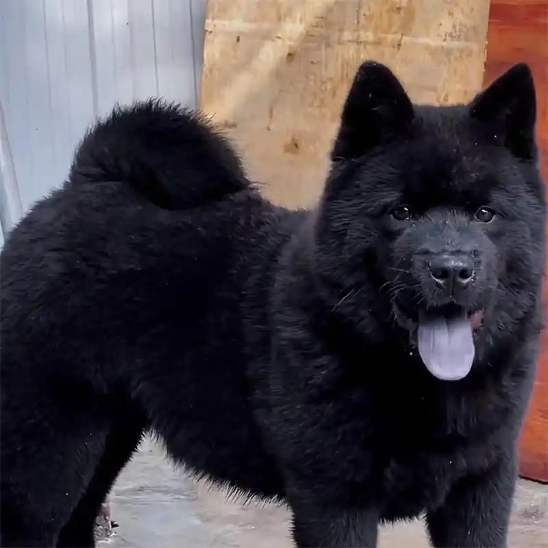 深圳市龙华区晟晾数码商行深圳市宏丰汇万数字科技有限公司