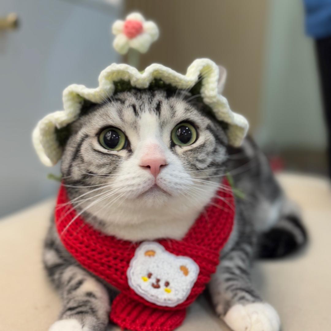 三三爱橘🍊（武汉nail）