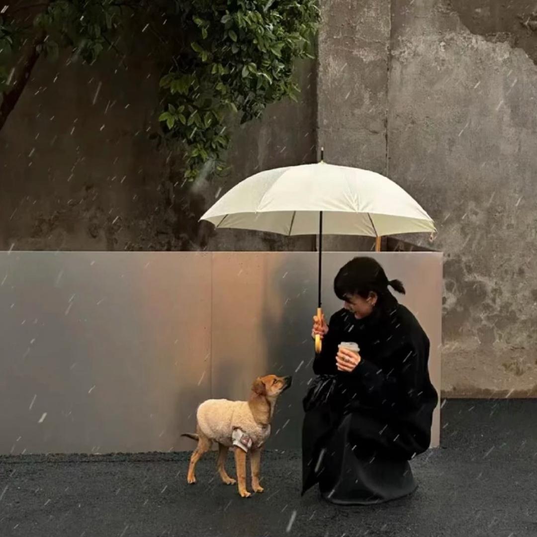 小熊猫不愿在慈宁宫烤面包