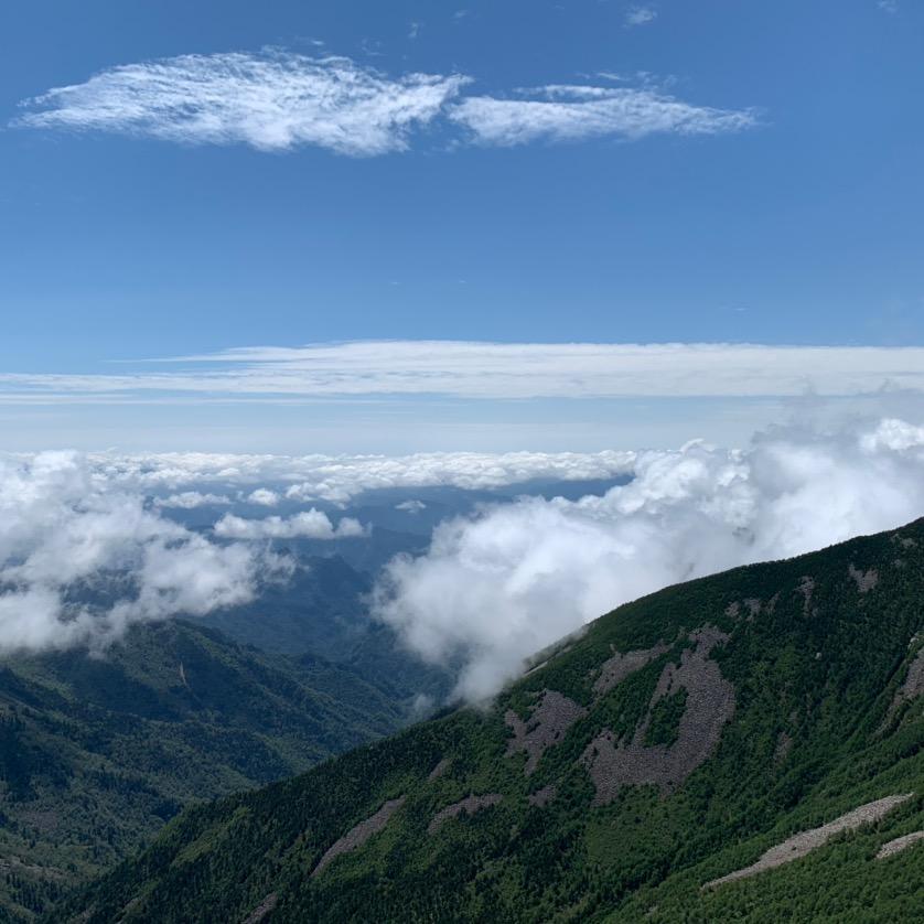 山野