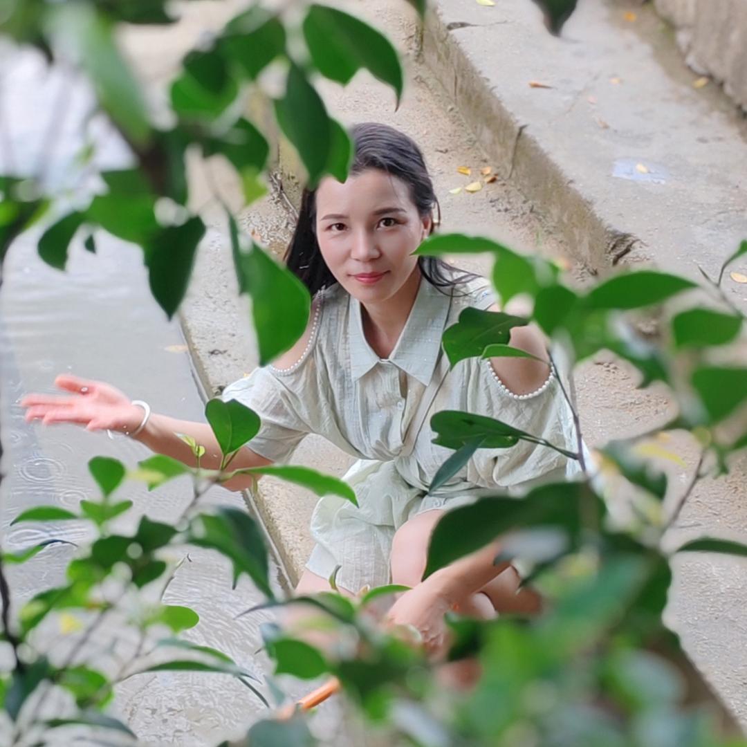 向阳葵花