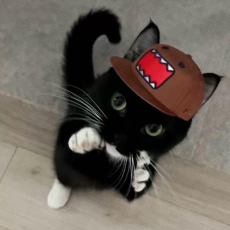 土豆🥔