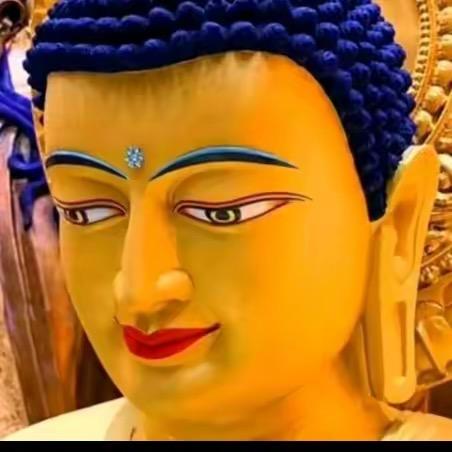 🍃🍃尼玛生格🦁