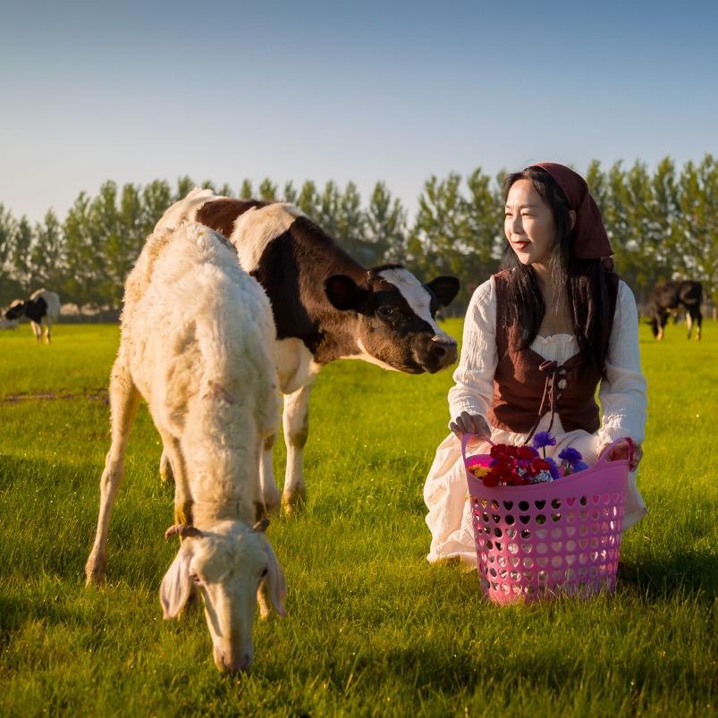 羊洋羊（手机摄影）