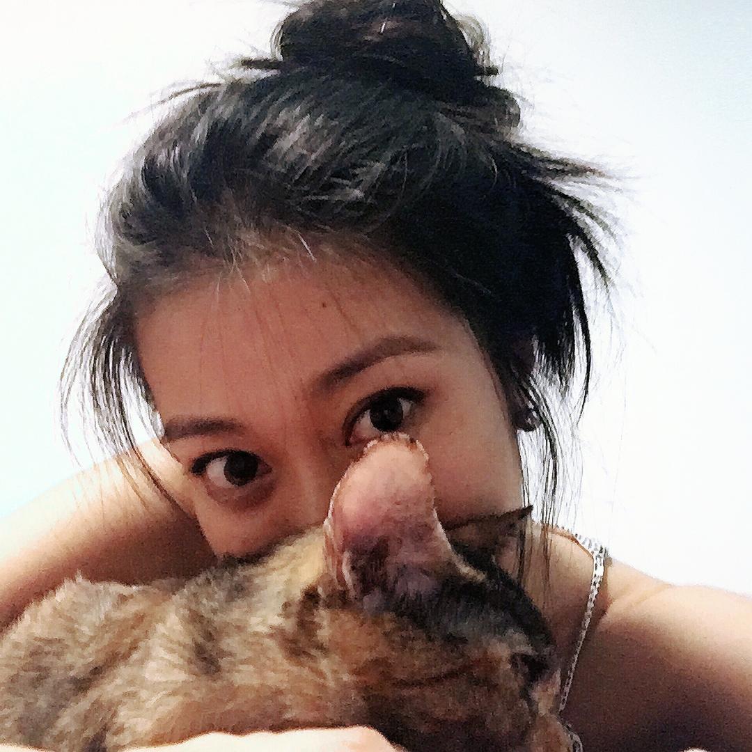 MeowMeowMeow