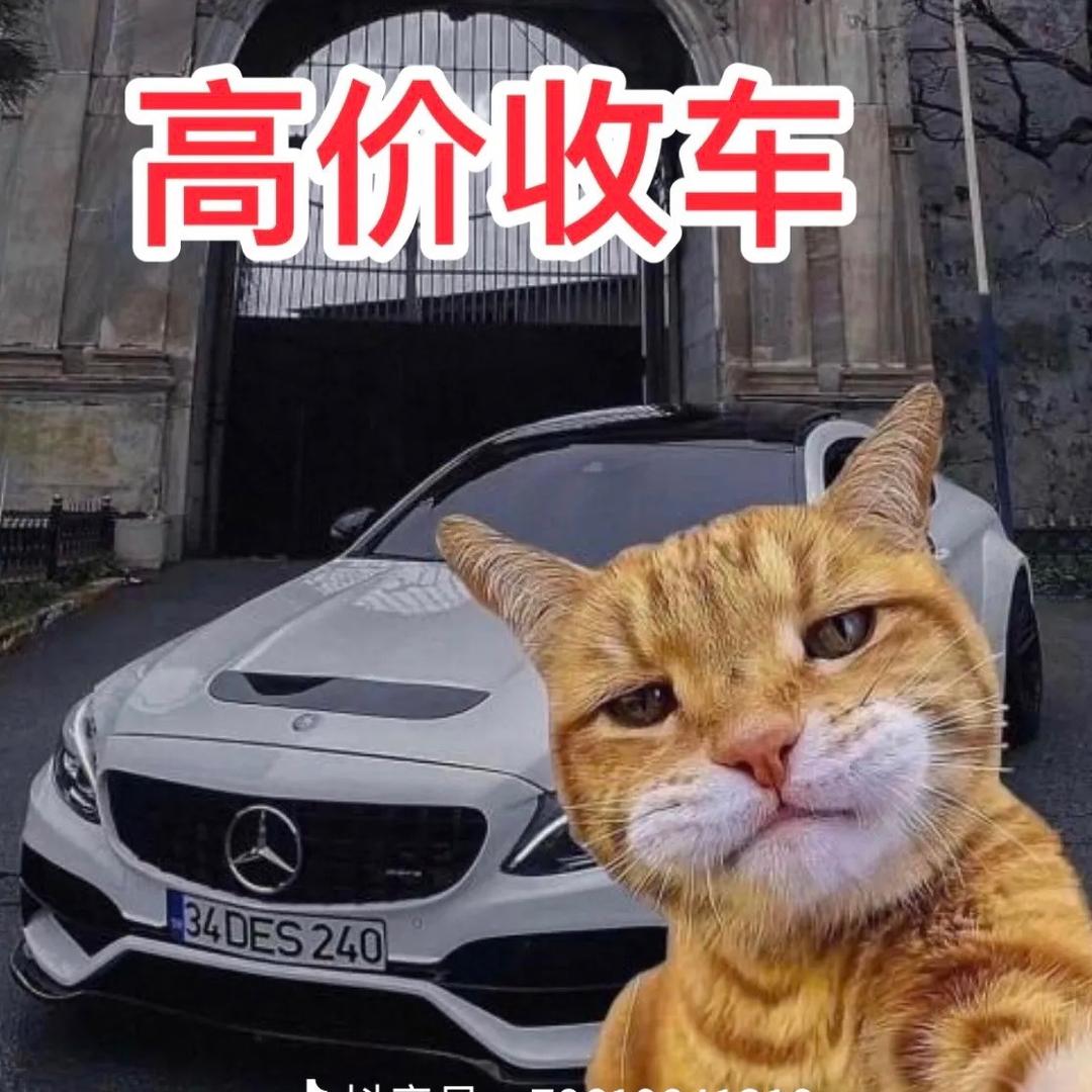 小马奔腾二手车（吕祥）