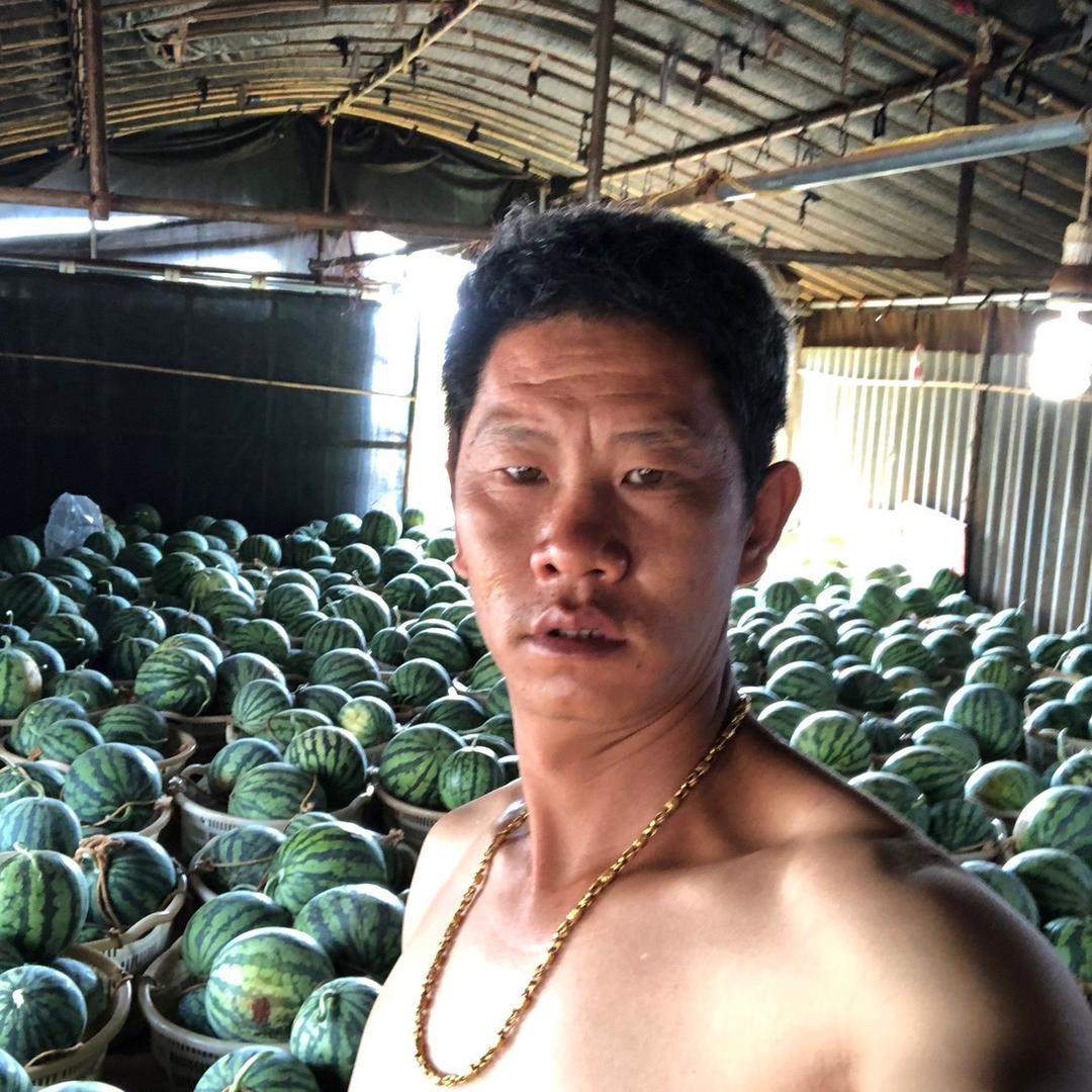 西瓜专业种植户周哥