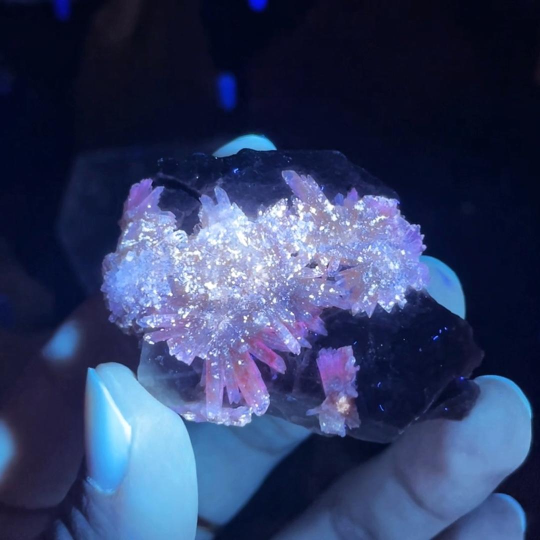 阿朱