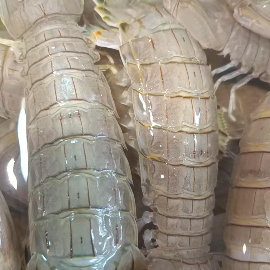 鑫雨水产批发零售