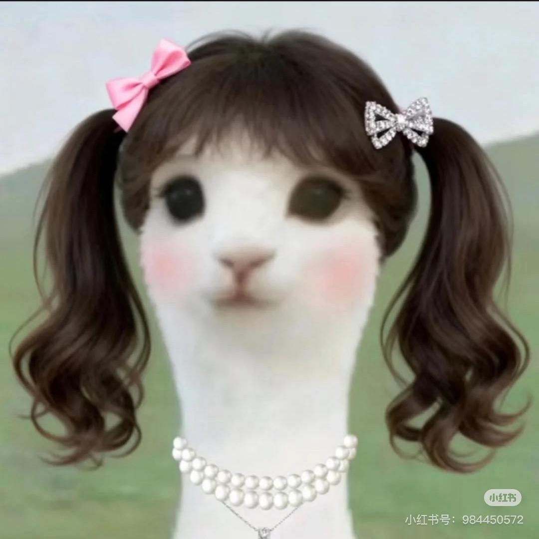陌生人消息