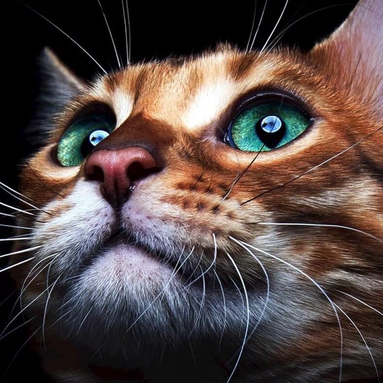 深井冰人思维广°