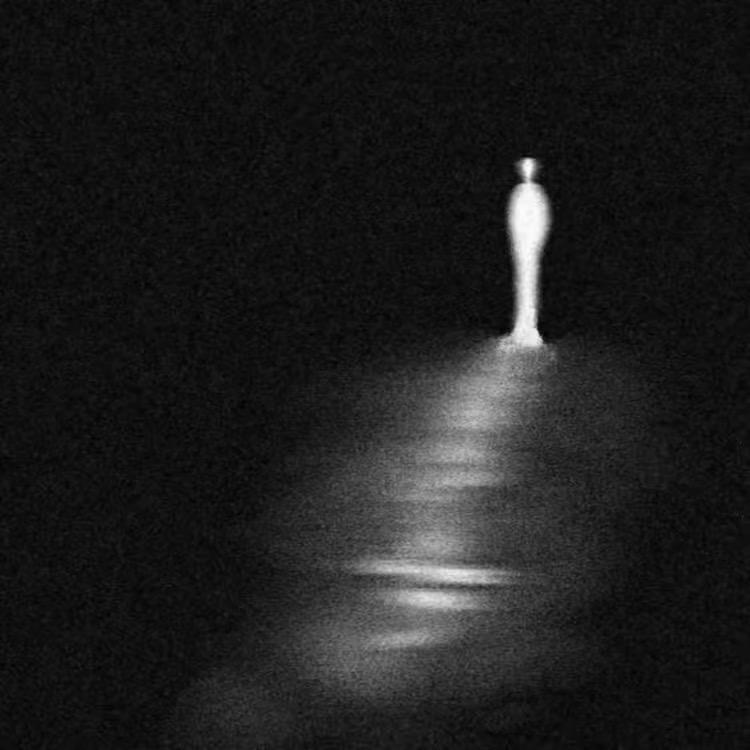 云网络（和平精英）