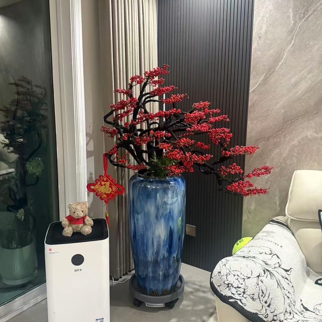 植缘造型设计绿植