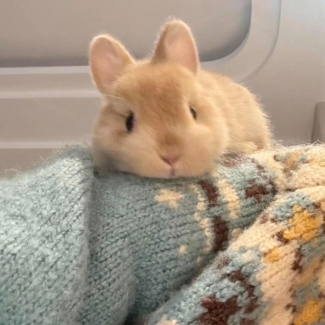 对我而言可爱的她