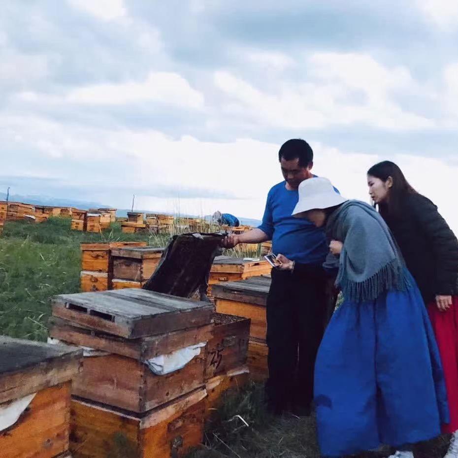 伊犁黑蜂百花蜜