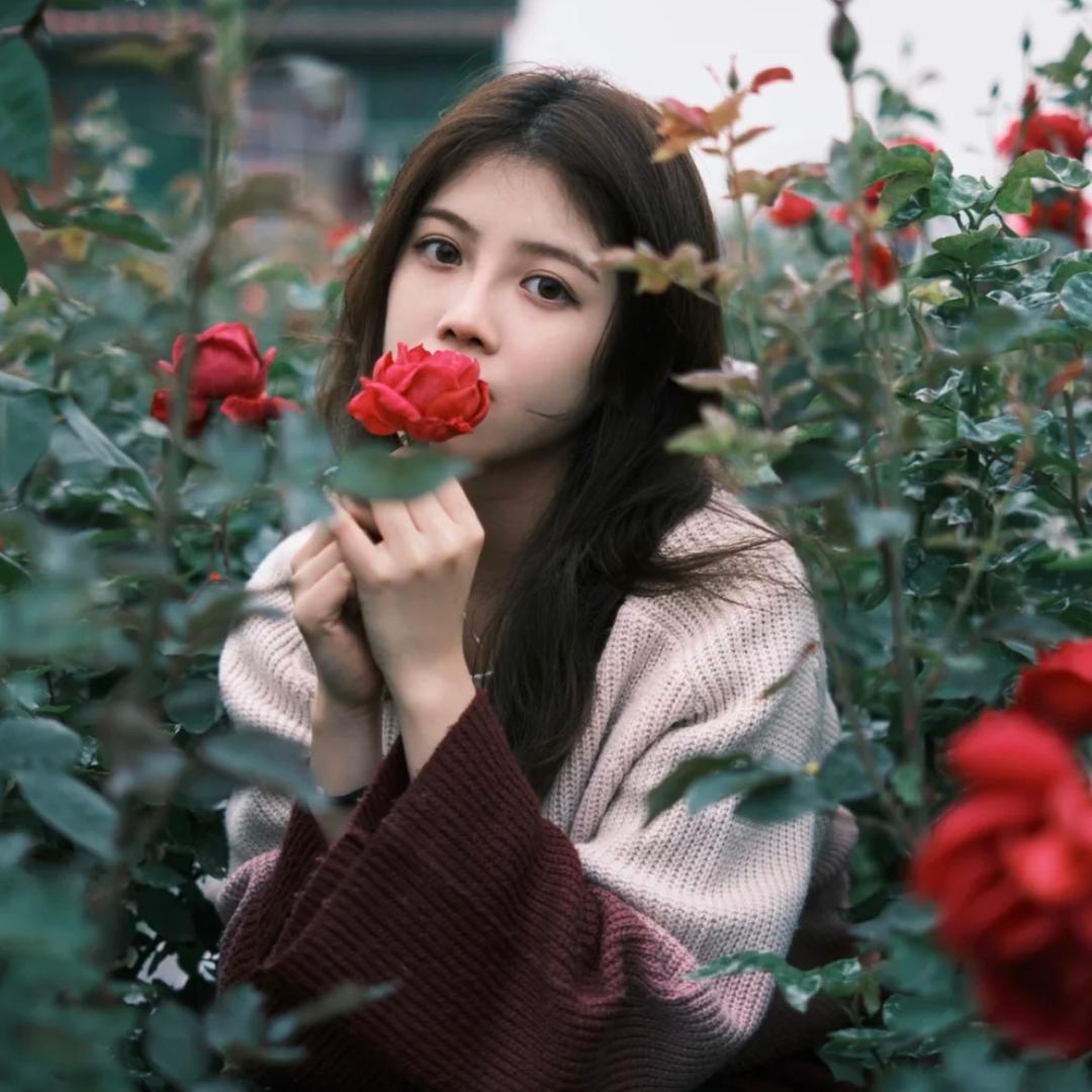 十年的菜园