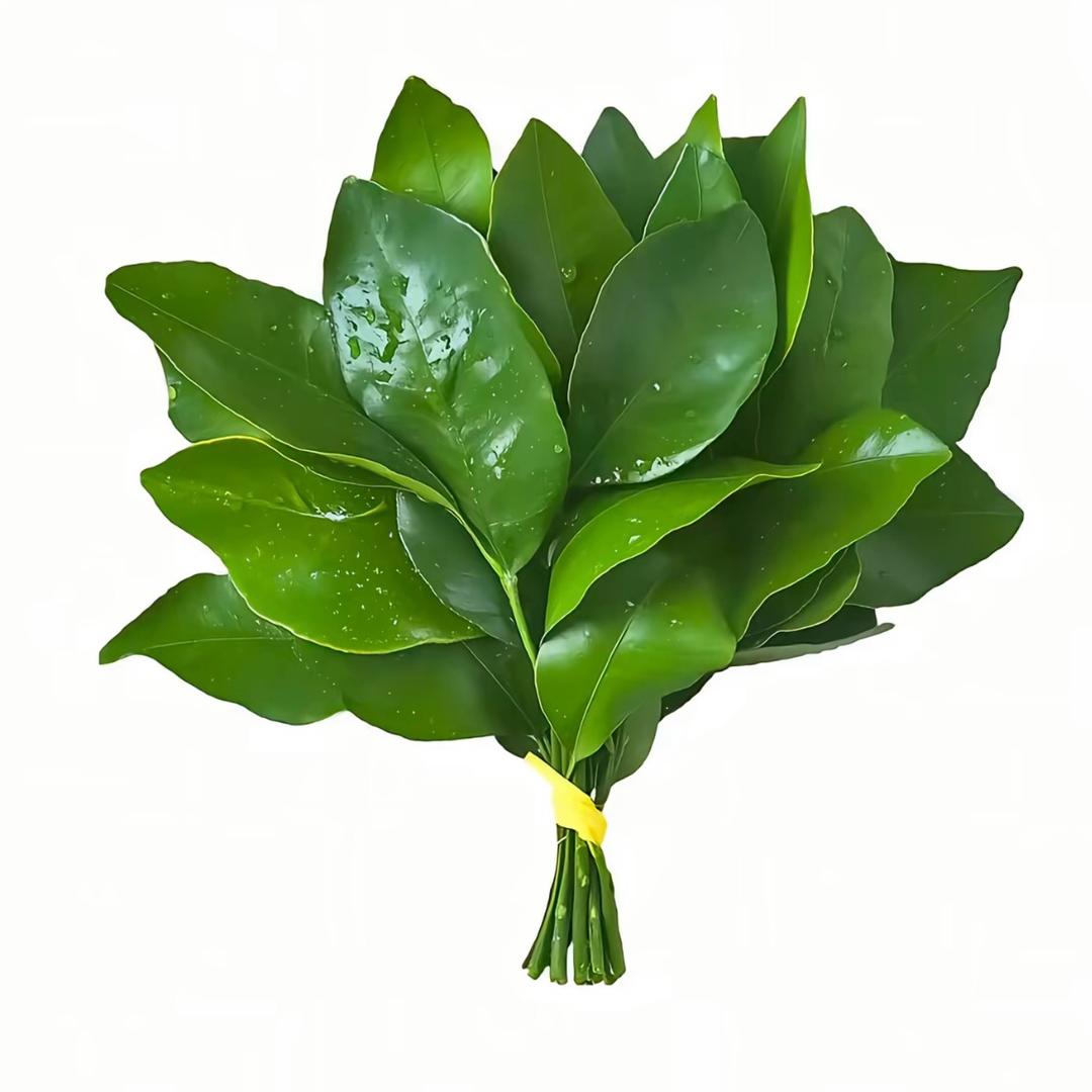 打开天窗说脏话