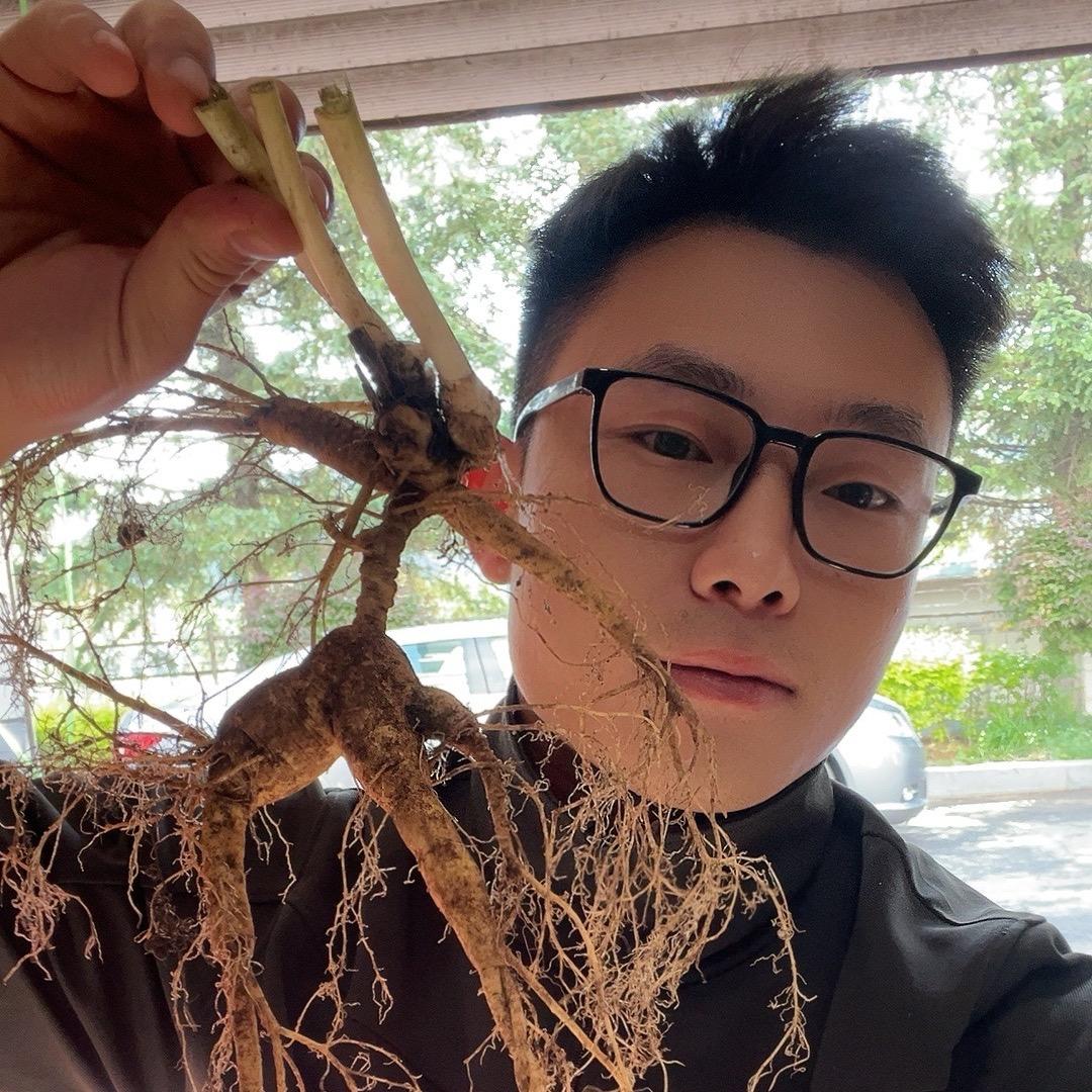 长白山亚林儿（班副）亿林参行