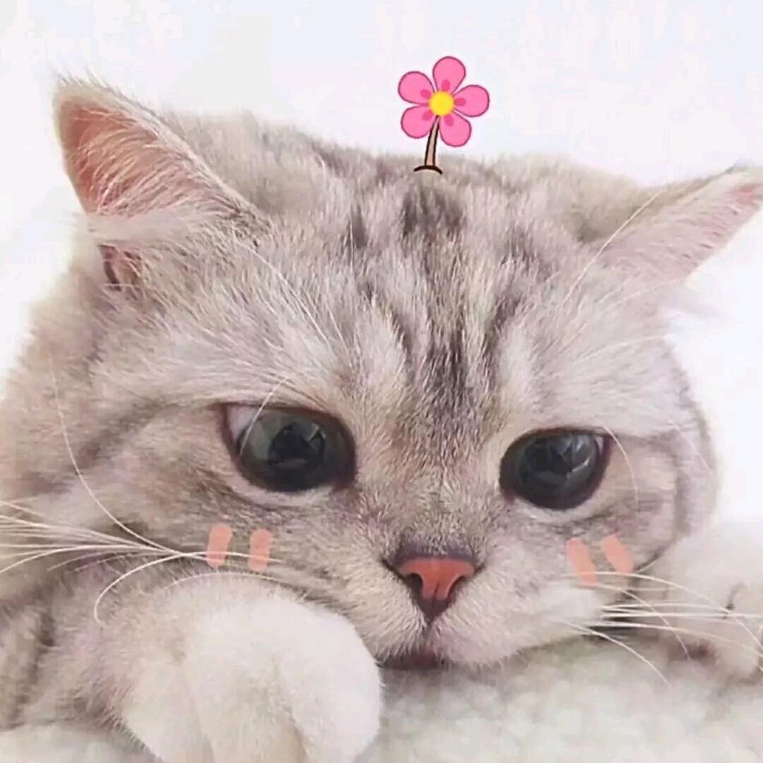 冫凌