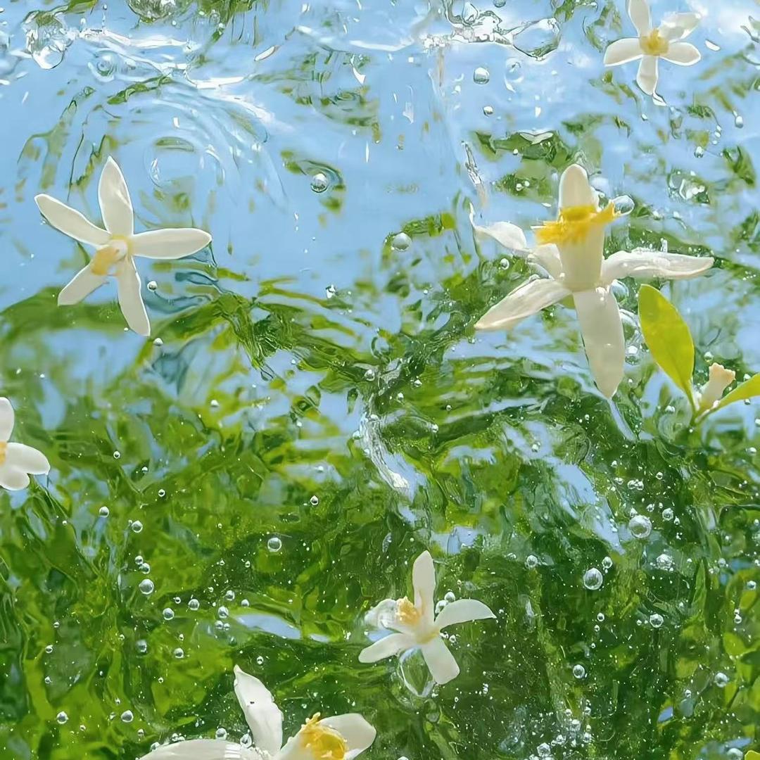 收藏老陈（纪念钞）