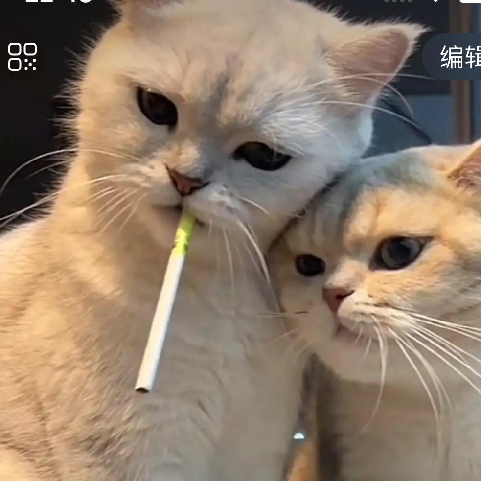 安安🉑️（4）